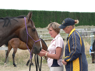Adult-horse-riding-lessons-in-arena